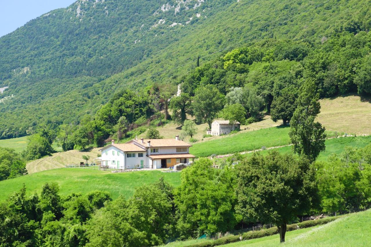 Agriturismo Fattoria Monte Baldo Vista Lago Каприно-Веронезе Экстерьер фото