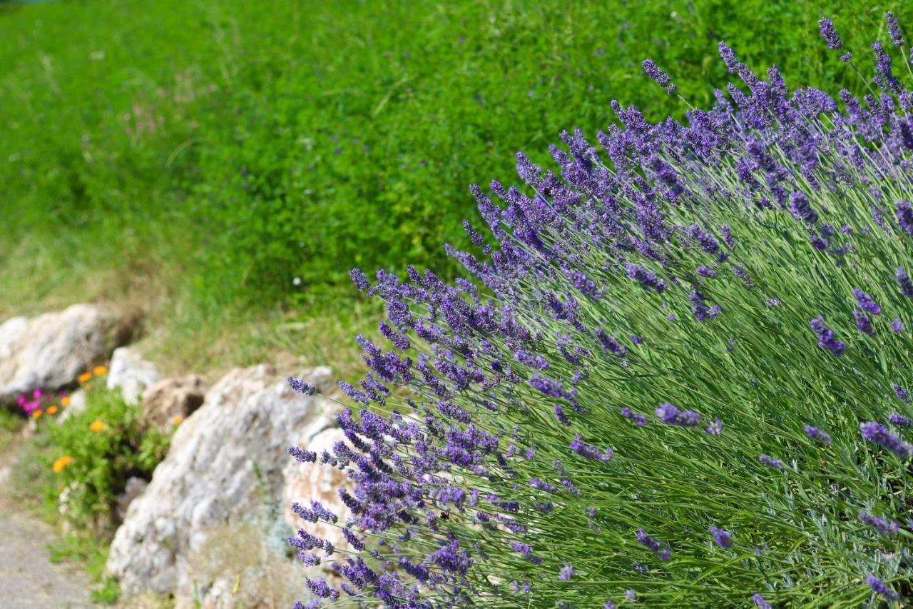 Agriturismo Fattoria Monte Baldo Vista Lago Каприно-Веронезе Экстерьер фото